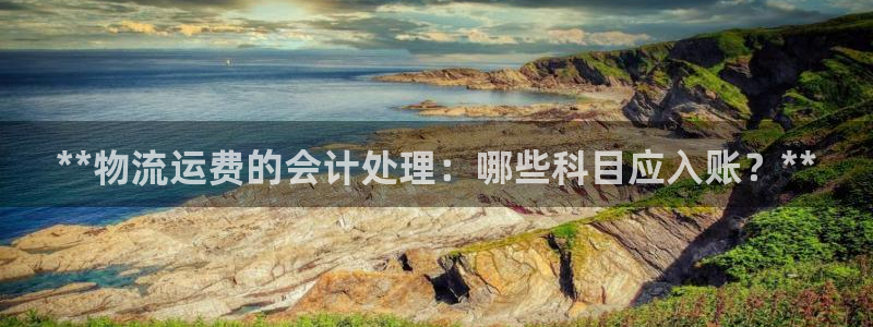 28圈开奖预测