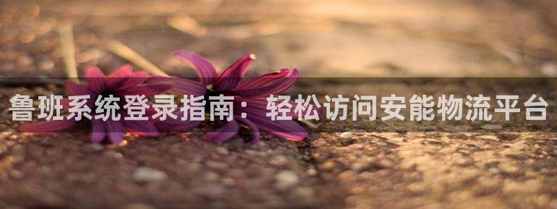 28圈app注册地址：鲁班系统登录指