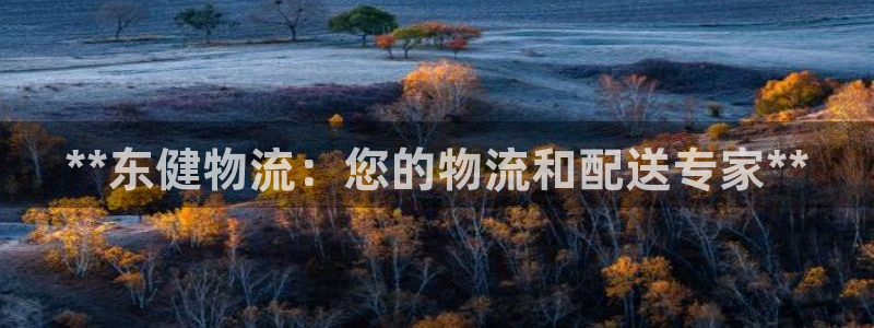 28圈官方