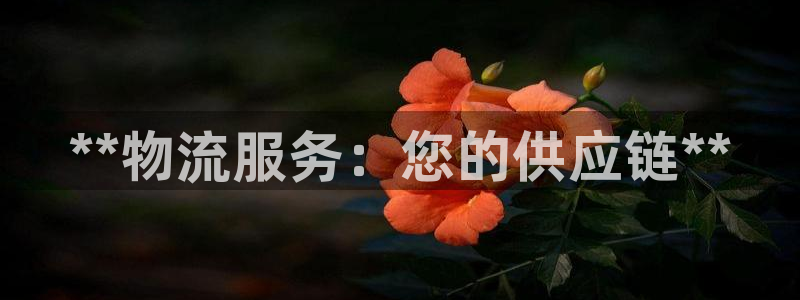28圈娱乐官网网页入口