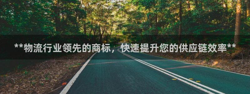28圈代理落网