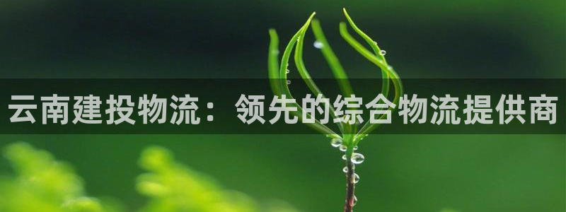 28圈注册网站链接：云南建投物流：领