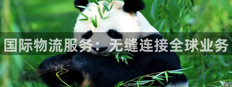 28圈怎么申请代理