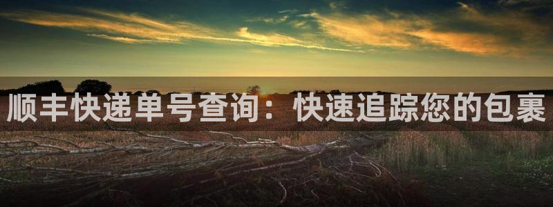 28圈旗下