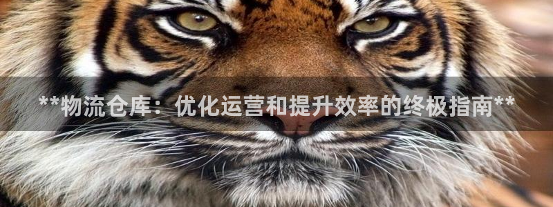 28圈怎么注册下载：**物流仓库：优