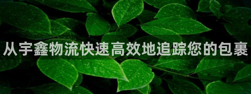 28圈官网网站