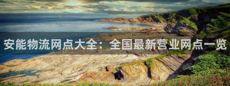 28圈注册网站APP：安能物流网点大