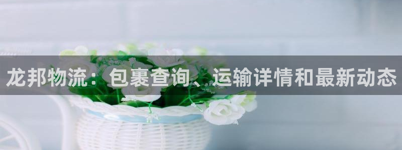 28圈体育下载