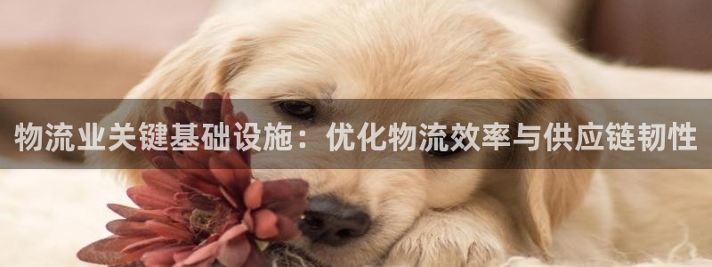 28圈南宫娱乐官网