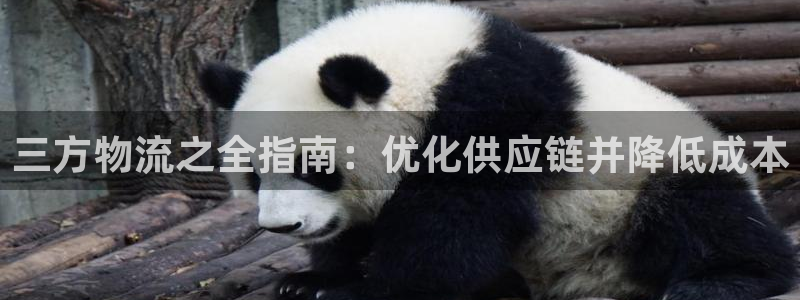 28圈注册网站谁有：三方物流之全指南