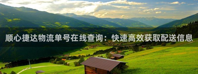 28圈app注册地址：顺心捷达物流单