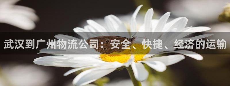 28圈充值不处理