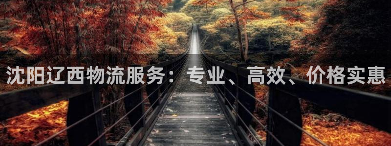 28圈注册地址