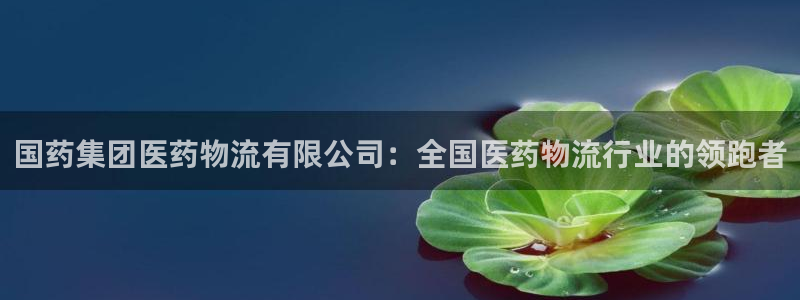 28圈头像