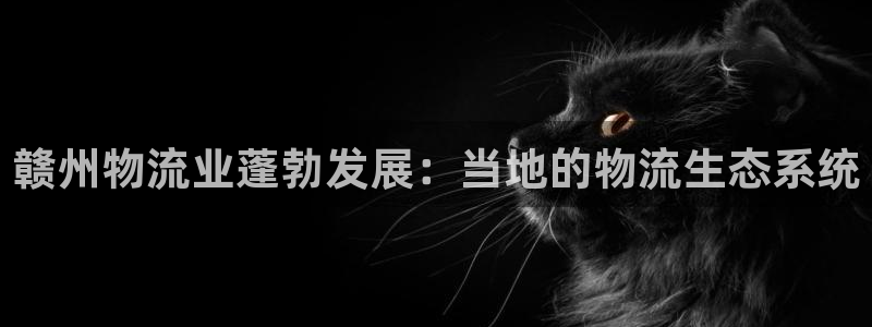 28圈下载二维码