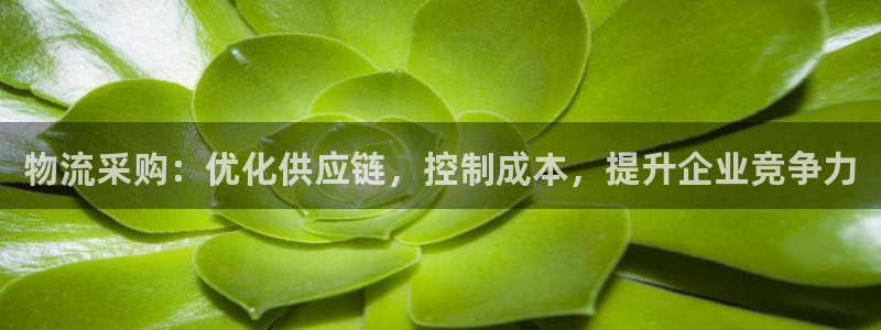 28圈官网网站
