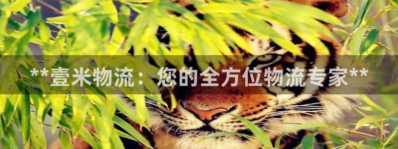 28圈是正规软件吗