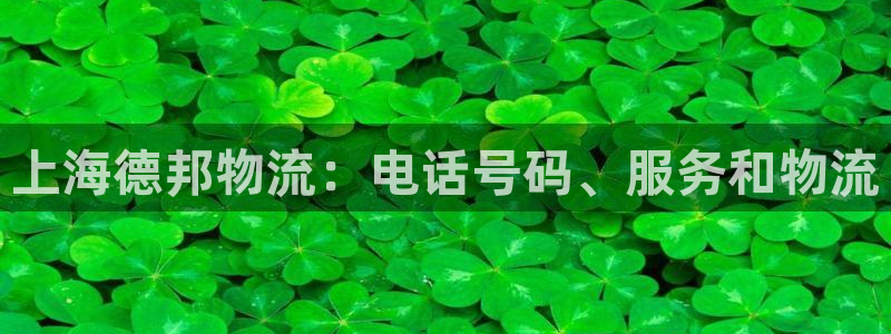 28圈登录网