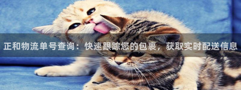 28圈平台注册