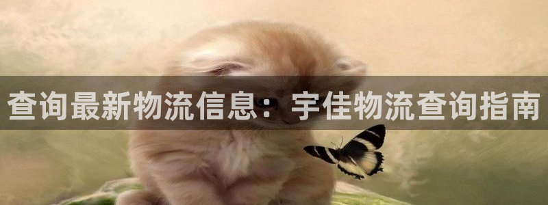 28圈官网网站