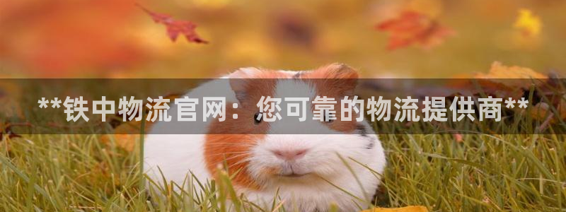 28圈赌博软件正规吗