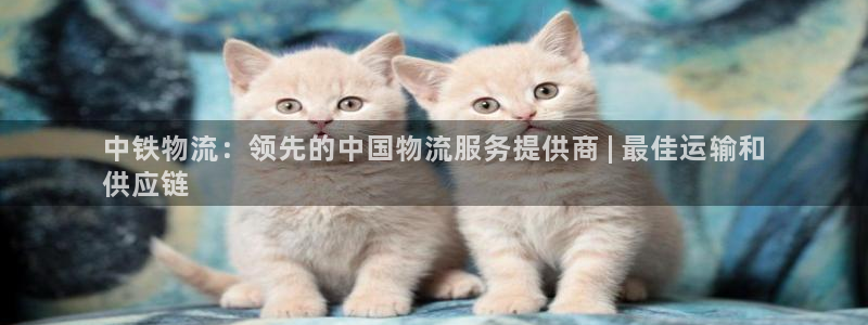 28圈.ccm南宫
