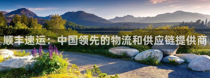 28圈官网版所有版本