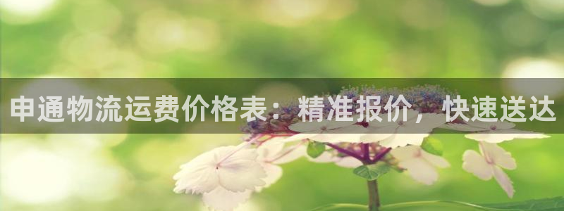 28圈官方