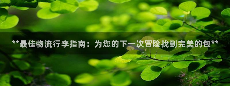 28圈注册网站链接是什么