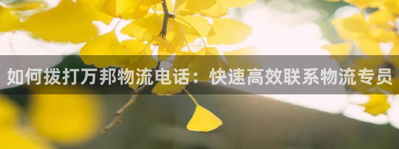 28圈充值不到账怎么回事