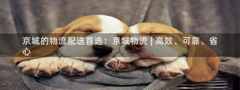 28圈正规吗