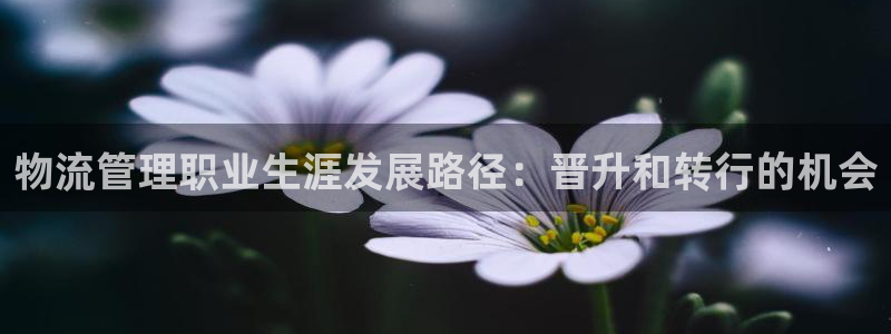 28圈龙虎