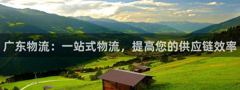 28圈注册送