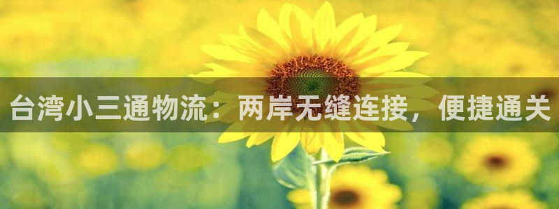 28圈注册步骤