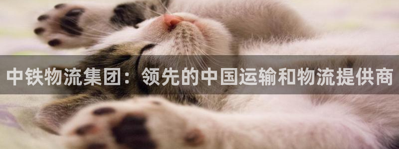 28圈百度百科