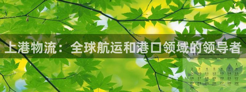 28圈.ccm