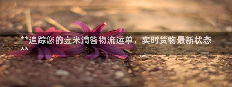 28圈百度百科