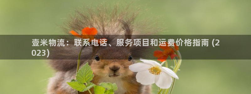 28圈官方官网版