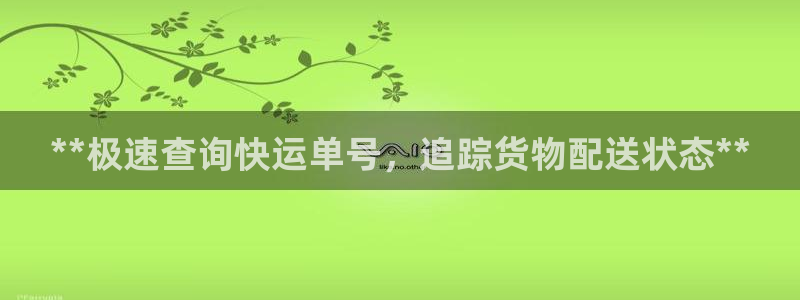 28圈大神预测