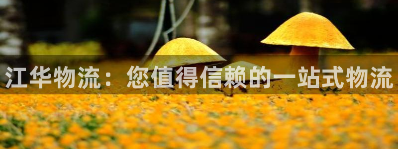 28圈充值不到账什么原因