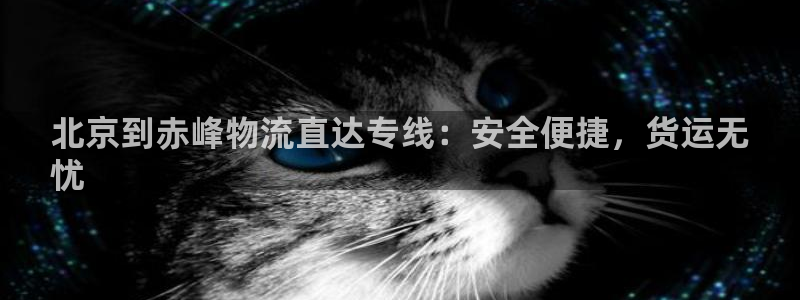 28圈麻将