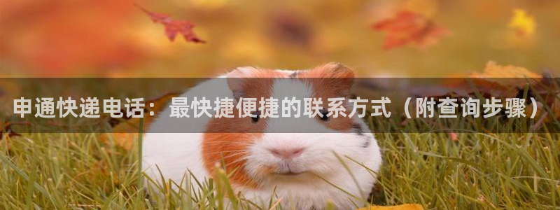 28圈黑不黑