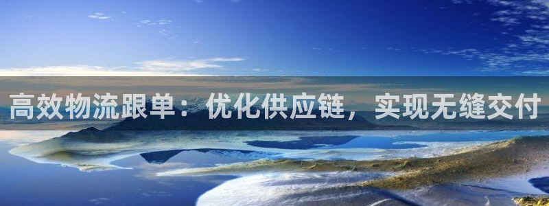 28圈官网开奖结果预测：高效物流跟单