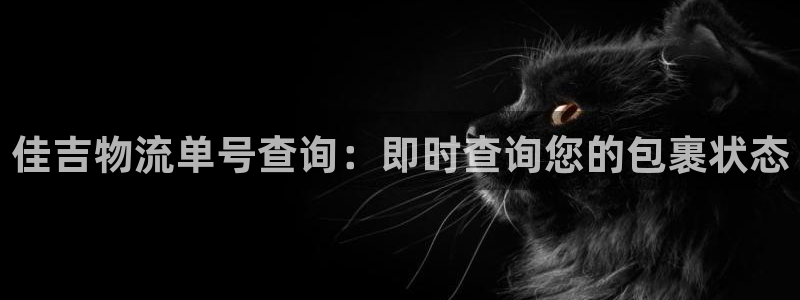 自行车28圈是什么意思