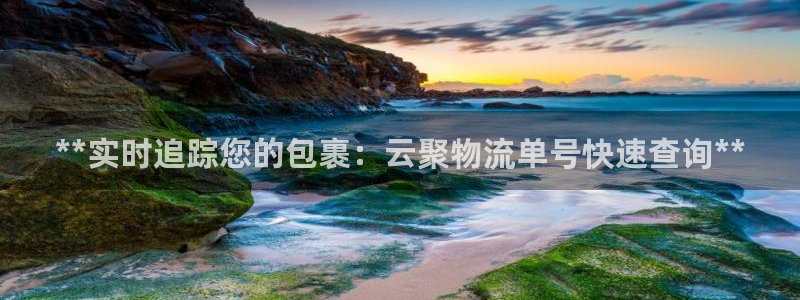 28圈游戏