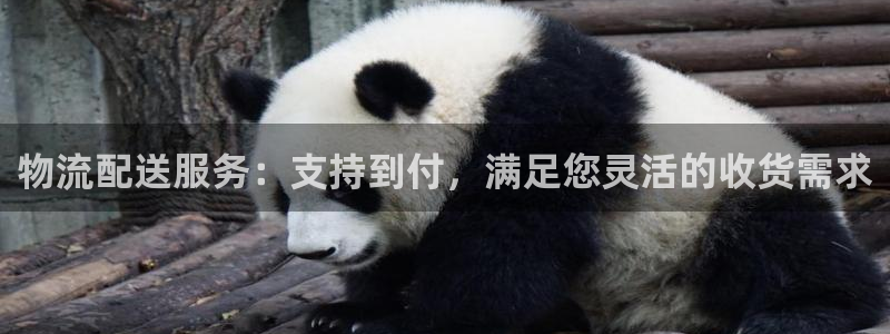 28圈app官网少林足球