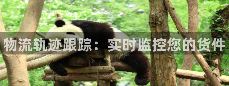 28圈起来的符号