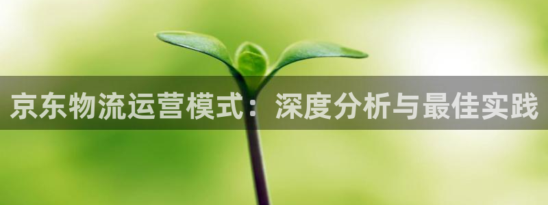 28圈女王中奖记录查询