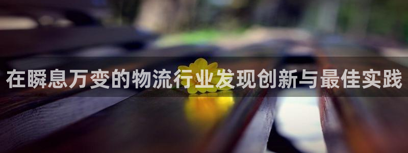 28圈哪个最赚钱：在瞬息万变的物流行