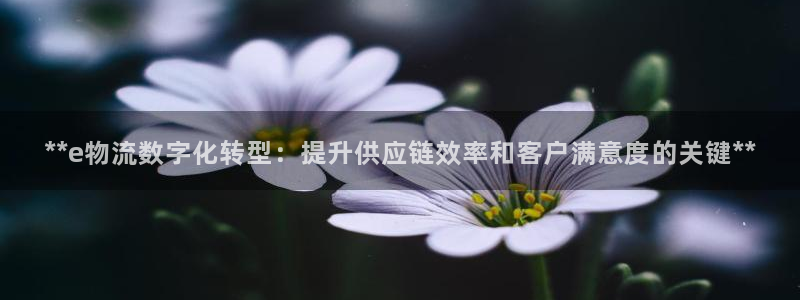 28圈注册用户名是什么：**e物流数